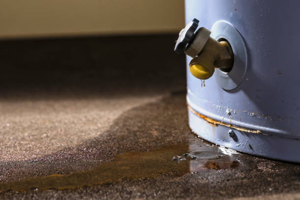 Best Water damage restoration mold remediation  in Wellston, OH