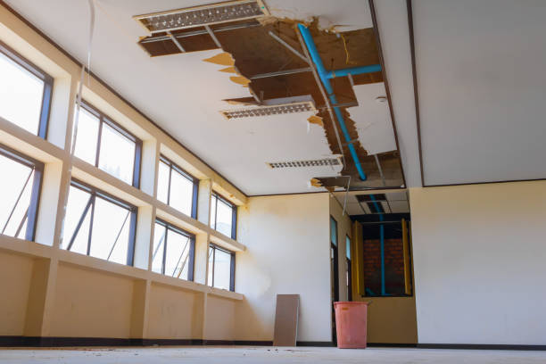 Best Sewage cleanup and water damage restoration  in Wellston, OH