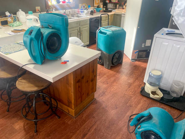 Best Local water damage restoration  in Wellston, OH