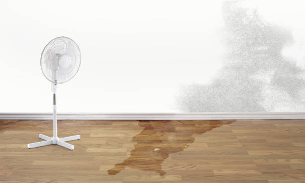 Best 24/7 water damage repair  in Wellston, OH