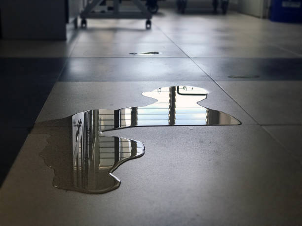 Best Professional water damage repair  in Wellston, OH