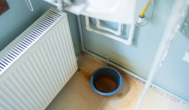 Best Water damage cleanup near me  in Wellston, OH
