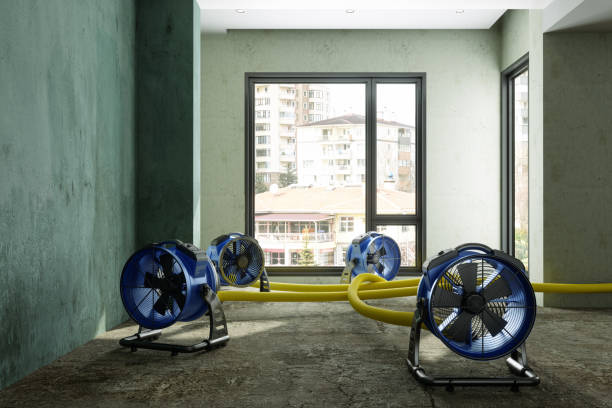 Best Fire Damage Restoration  in Wellston, OH