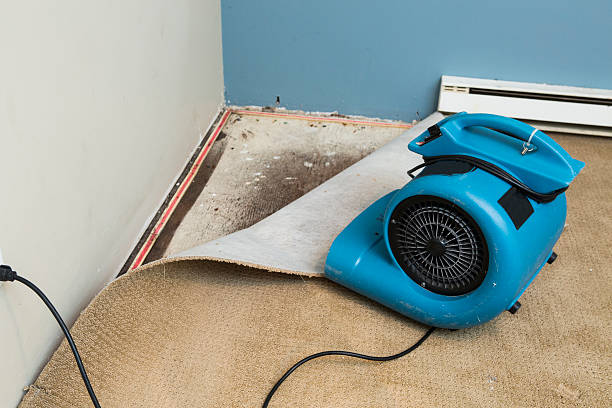 Best 24/7 water damage repair  in Wellston, OH
